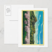 Sutter Buttes and Orchards in Bloom Briefkaart (Voorkant / Achterkant)