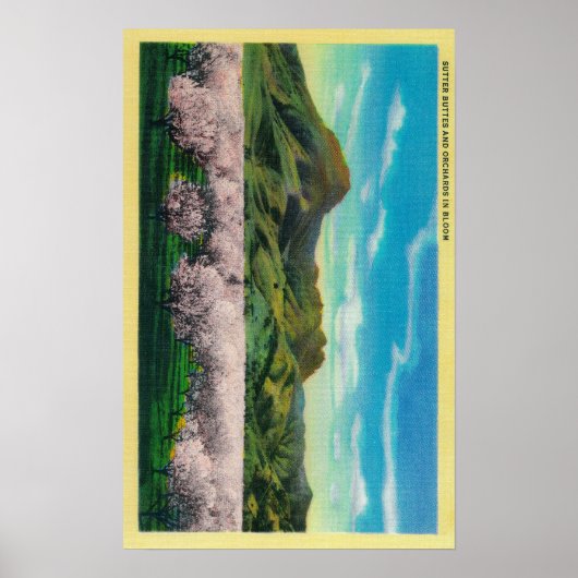 Sutter Buttes and Orchards in Bloom Poster (Voorkant)