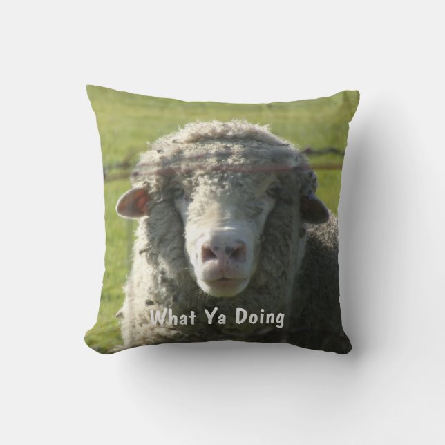 Sutter Buttes Mountain Range curieux coussin de mo (Recto)