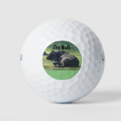 Sutter Buttes Mountain Range de Bull foto, Golf. Golfballen (Voorkant)