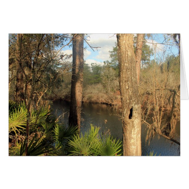 Suwanee River, Big Shoals State Park, Florida (Voorkant Horizontaal)