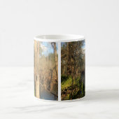 Suwanee River, Big Shoals State Park, Floride Mug (Centre)