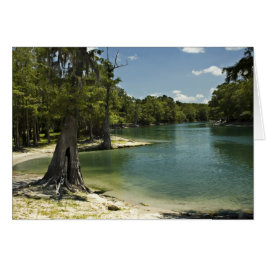 Suwannee River Beach Blank Card
