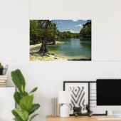 Suwannee River Beach Print (Thuiskantoor)