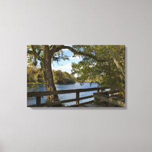 Suwannee River bij Hart Springs Canvas Afdruk