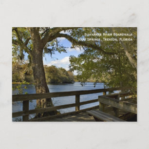 Suwannee River Boardwalk Briefkaart