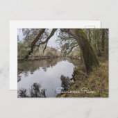 Suwannee River Briefkaart (Voorkant / Achterkant)