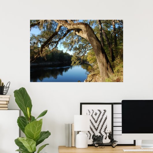 Suwannee River Poster (Thuiskantoor)