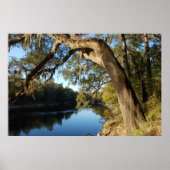 Suwannee River Poster (Voorkant)