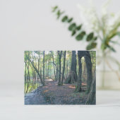 Suwannee River slough Briefkaart (Staand voorkant)