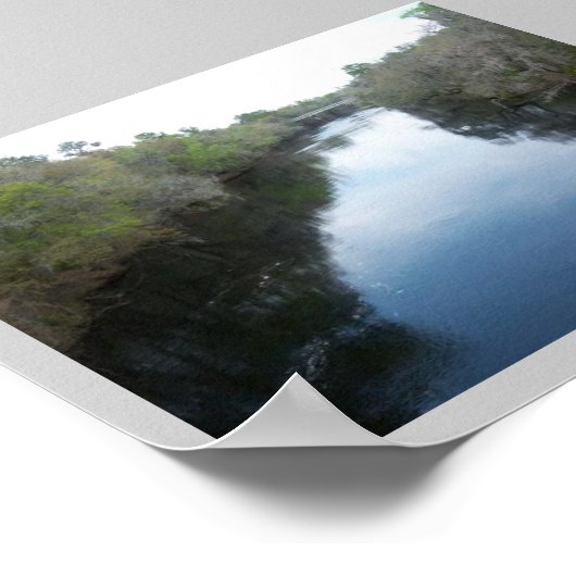 Suwannee River Uitzicht Florida Poster (Hoek)