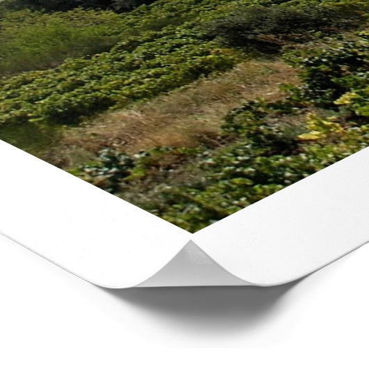 Suzette, Frankrijk Poster (Hoek)