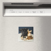 Suzy Q Magneet (Insitu (Vaatwasser))