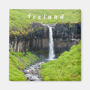 Svartifoss-waterval in Skaftafell - IJsland Magneet