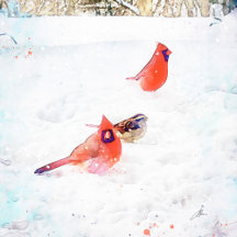 Bird Art