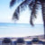TropiCards