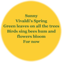 Reflection- Spring on Planet Earth 2024 poem