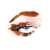 BeautyAndFashion