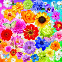 Jigsaw Puzzles