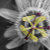 AC_Creative