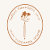 Ashlee Townsend Design