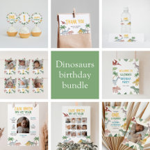 One A Saurus Dinosaur Birthday Party Collection