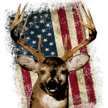 Patriotic - USA