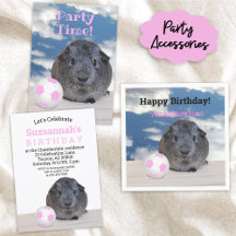 Guinea Pig and Soccer Ball Child's Birthday Party