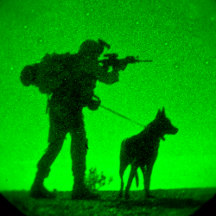US MILITARY WORKING DOGS