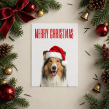 Christmas Paws & Holiday Animals