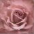 RebelliousRoseShoppe