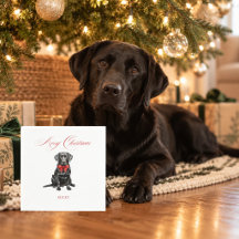 Christmas Pet Napkins
