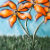 Marie Florence Designs Prints