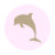 Happy Dolphin Studio