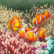 DE/GB Wasserbewohner  - Enchanted Ocean World