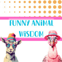 Funny Advice From Animals