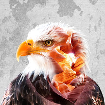 Canyon Eagle Design