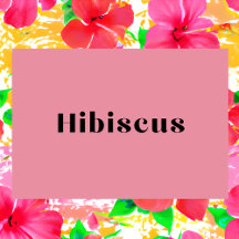 Hibiscus Prints