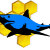 Honey_Shark