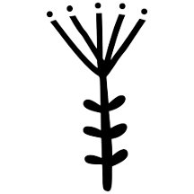 Large Summer Flower on Short Stem