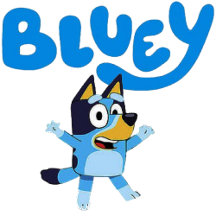 Bluey pattern design Custom Name and Year