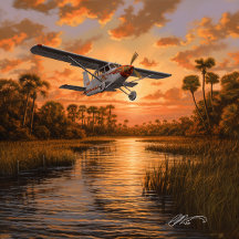 Florida Everglades Collection