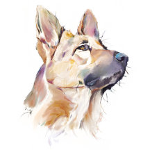 Dog Lover Gifts Collection