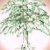 Wishing Tree Greetings & Gifts