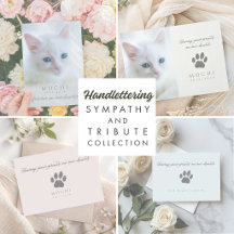 Handwritten Script Cat Loss Sympathy & Memorial