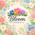 Bloom_studio