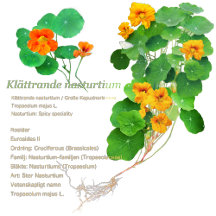 Relax and Movie time 