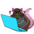 Naughty_squirrel
