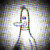 Black Duck Design