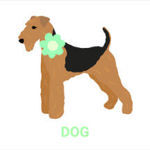 Airedale Terrier DOG